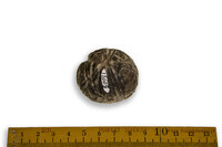 F 13009
<br/>
<br/>
<em></em>